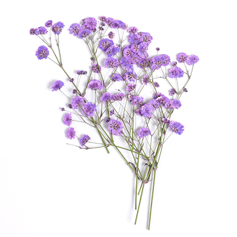 Keimprove Mini Dried Flower Bouquet - Natural Gypsophila Dried Flowers  Handmade Floral Bouquets Dry Flowers Photography Photo Backdrop Home  Valentine's Day Decor Party Gifts DIY Crafts 
