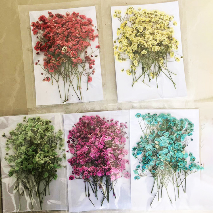  GUTLIVTAG Dried Pressed Flowers, 94PCS Natural