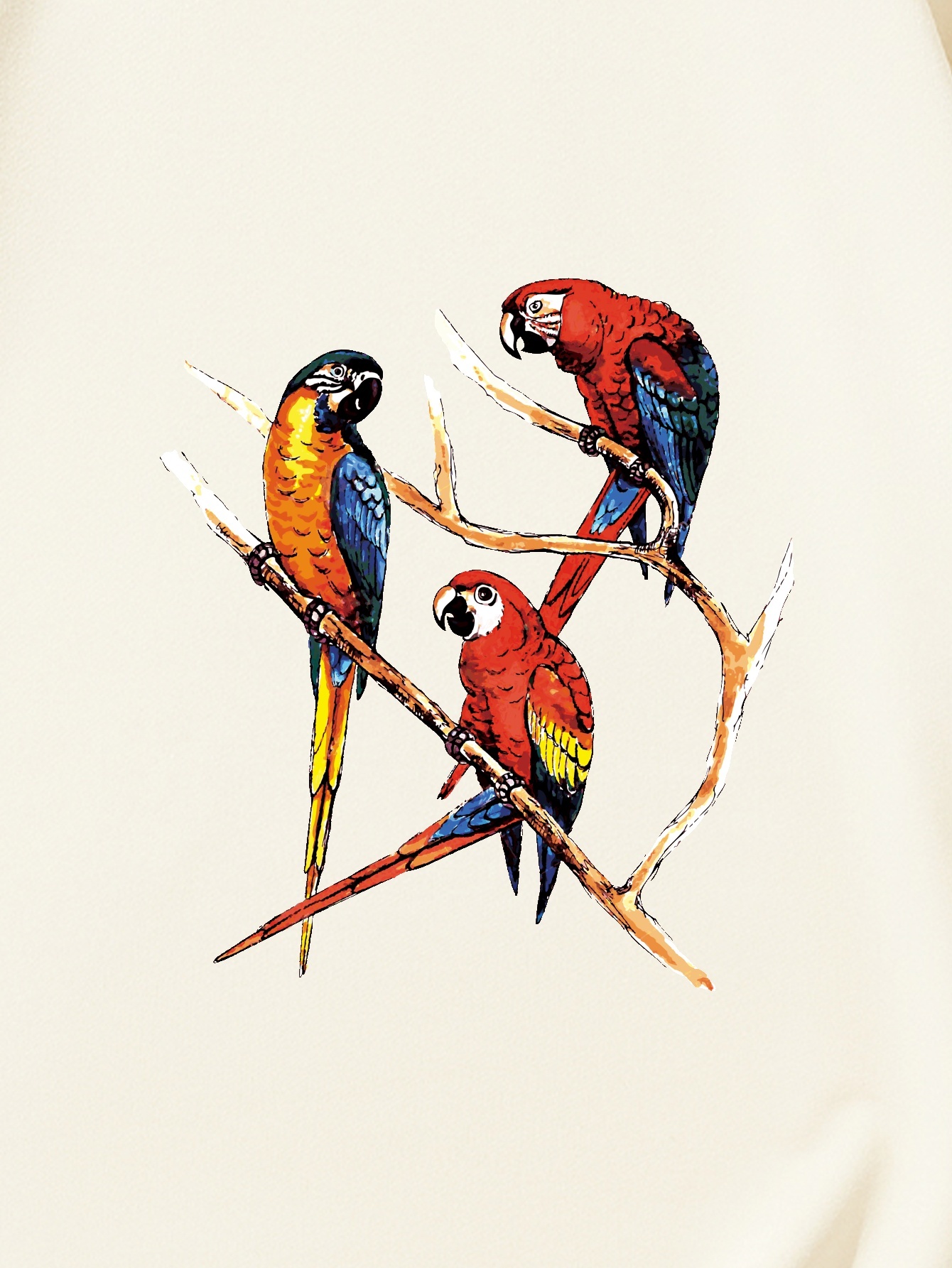 Parrot Watercolor T-Shirt