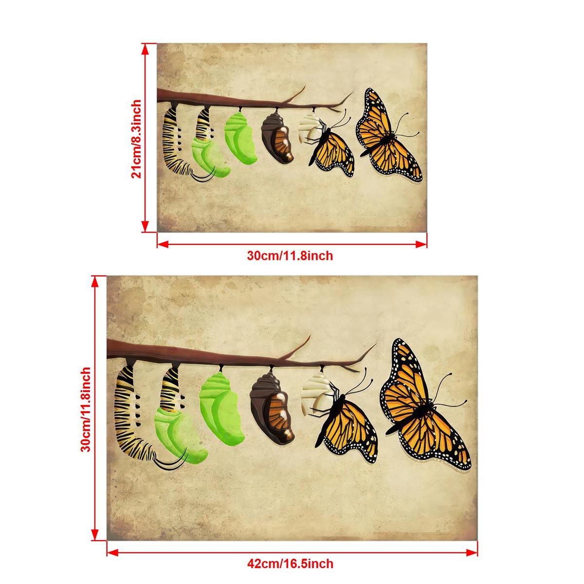 The Life Cycle of the Monarch Butterfly Poster II