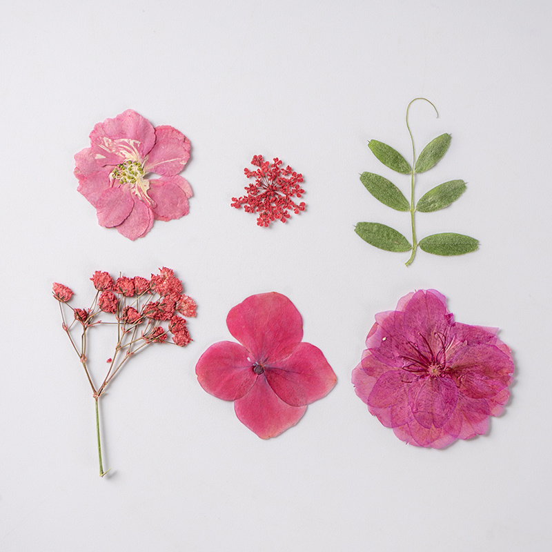 Colorful Natural Dried Flowers For Epoxy Resin Filling - Temu
