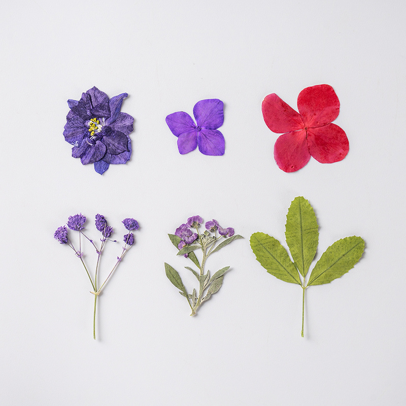10pcs Dried Flowers Epoxy Resin Accessories Silicone Mold Resin Filling  Dried Pressed Leaves Moule Resine Epoxy Fleurs Sechees