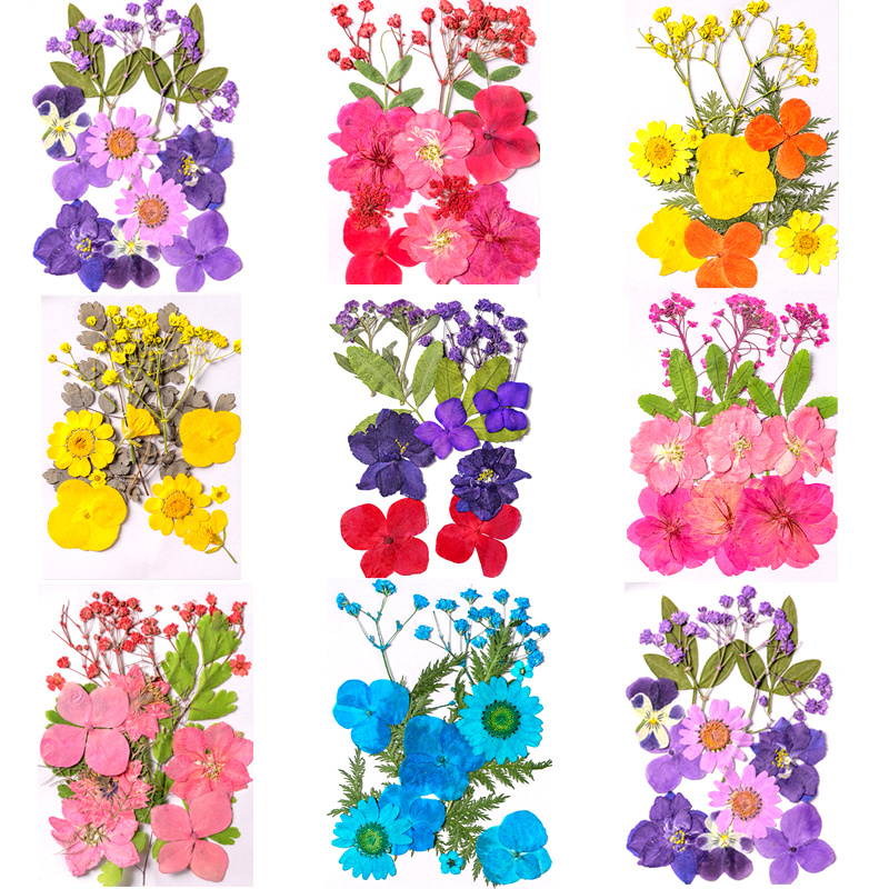 Flores secas, paquete de 12 hierbas de flores secas naturales para bañ, Flores  Secas Naturales