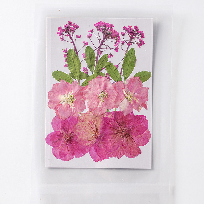 JYEFFORT Pressed Dried Pink Flowers, Pressed Dried Pink Flowers Set - Ideal  for Resin Art and DIY Crafts (Pink)