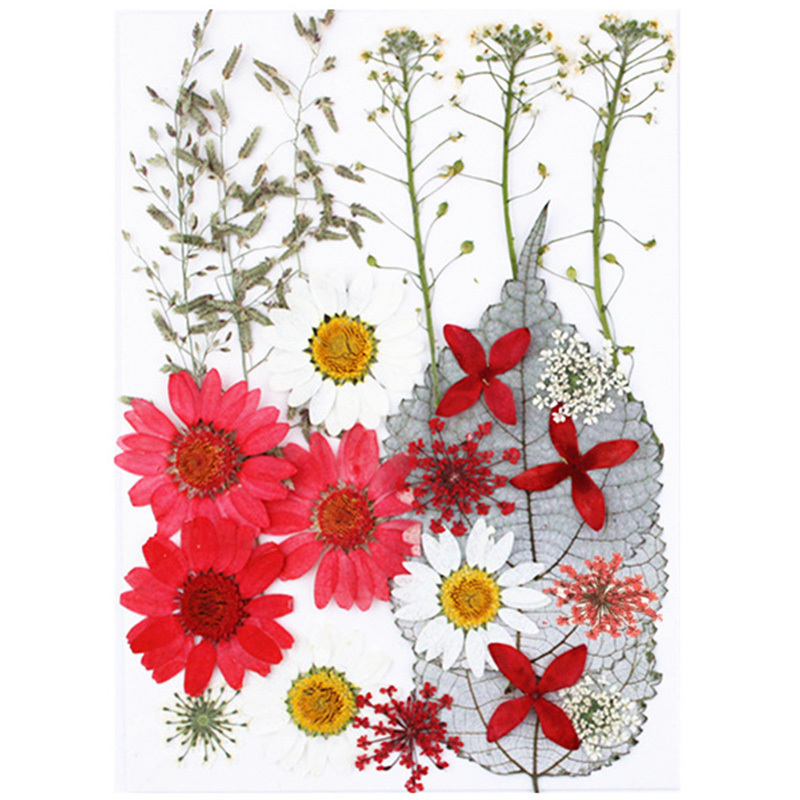 Pressed Flower Themed Stickers Set Dried Flowers Resin - Temu Austria