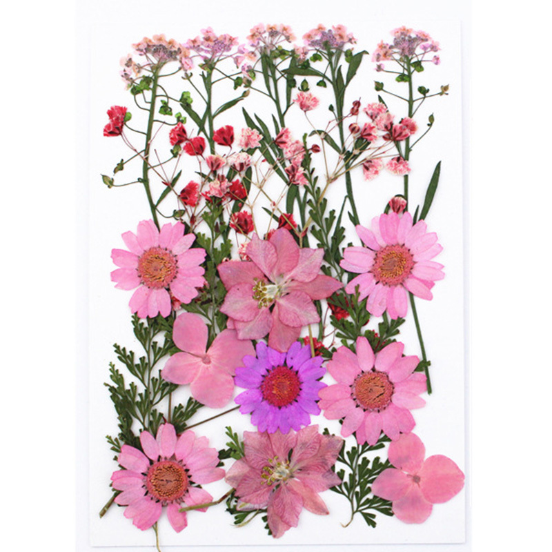 1bag Dried Flowers Pressed Flowers Stickers For Diy Phone Case