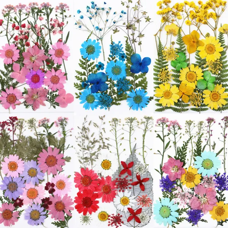 1 Box Mix Beautiful Real Dried Flowers Natural Floral for Art Craft  Scrapbooking Resin Jewelry Craft Making Epoxy Mold Filling 