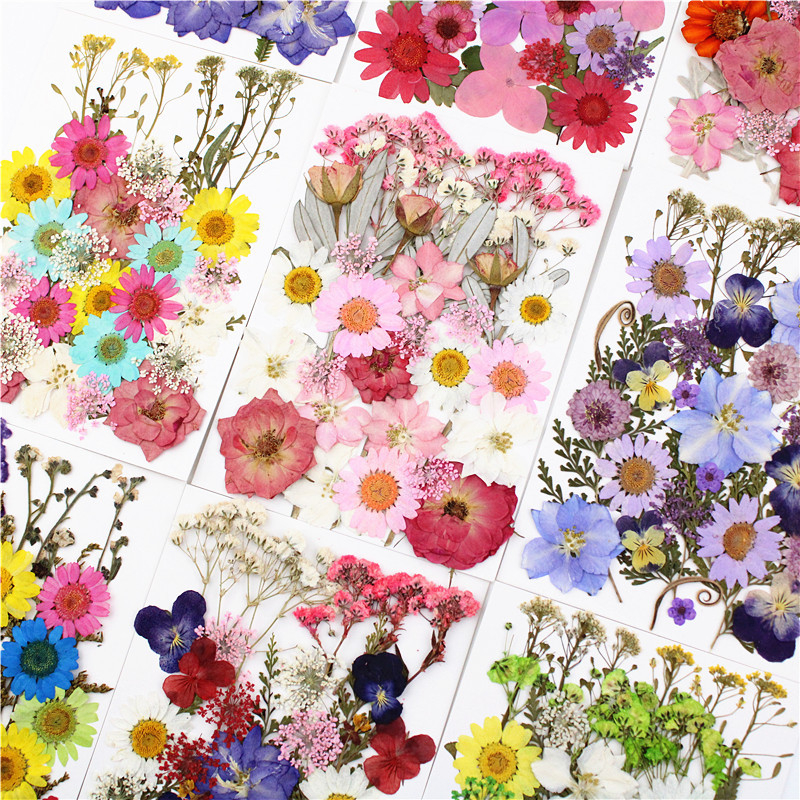 1Bag Dried Flowers Pressed Flowers Stickers for DIY Phone Case Epoxy Resin  Filling Pendant Jewelry Making Crafts Nail Art Decor