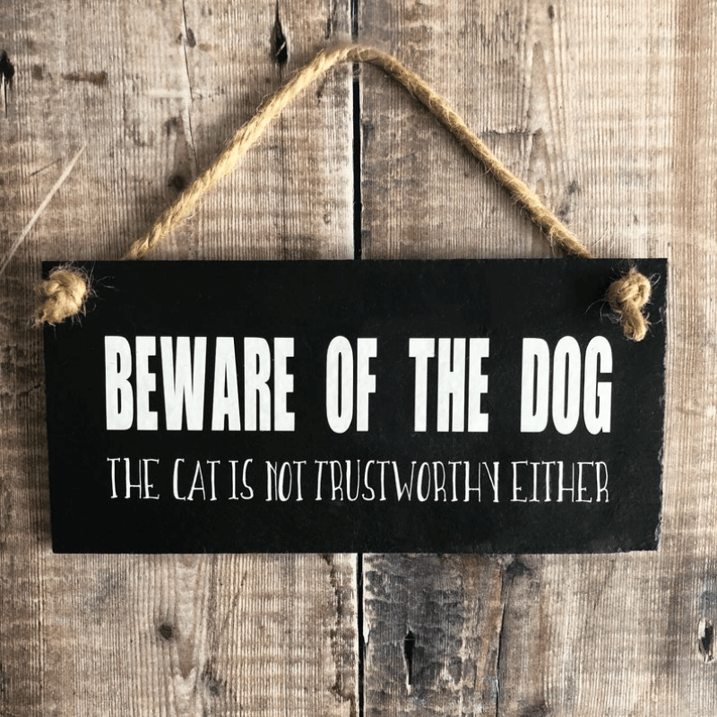 Venicor Funny Beware of Dogs Sign - 8 x 12 Inches - Aluminum - Gift for Dog  Lovers - Dog Wall Art - Dog Stuff - Dog Signs for Home Decor - Funny Dog