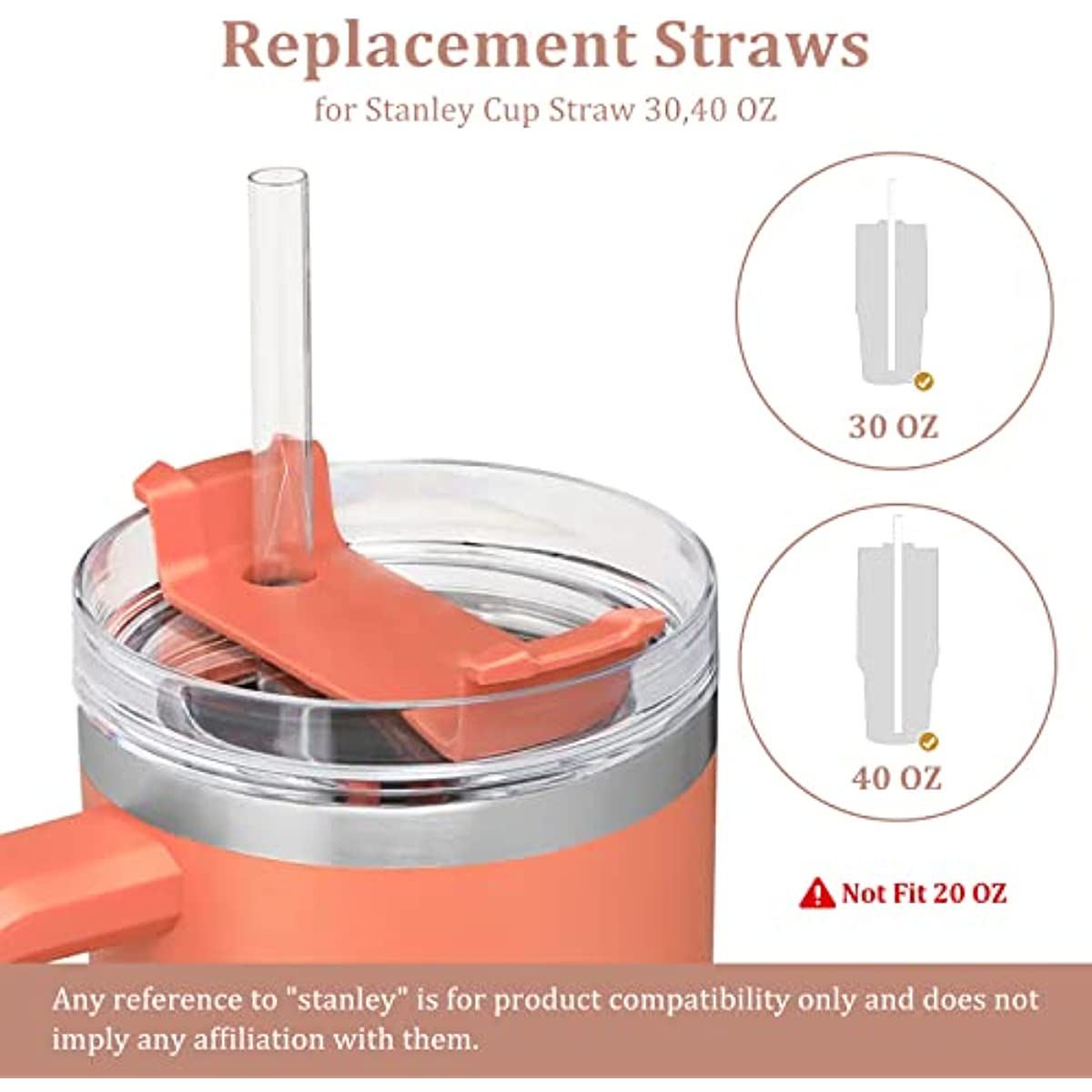 Replacement Straws for Stanley 40 oz Quencher Tumbler, 6 Pack