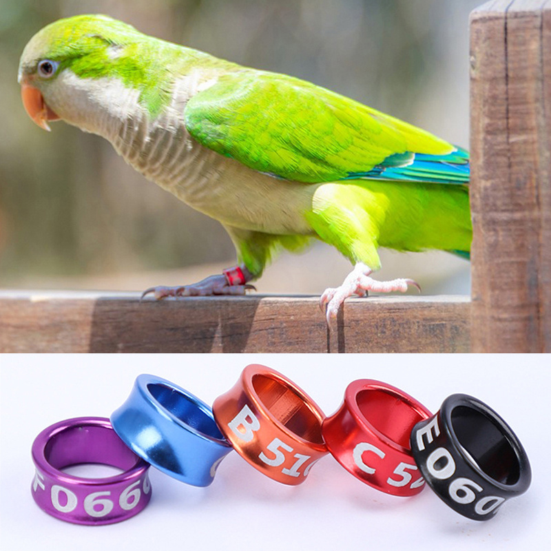 19mm O-Rings for bird toys