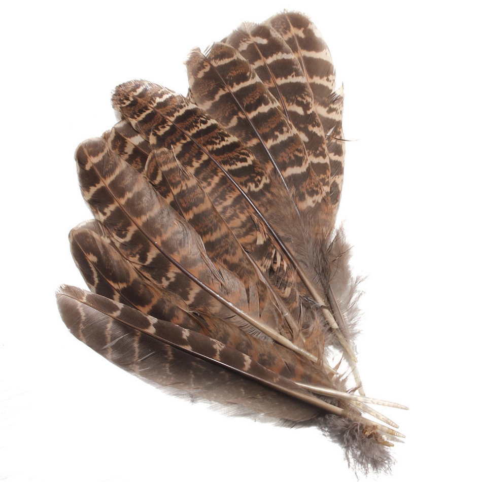 Natural Plume Diy Pheasant Feathers Crafts Handmade Jewelry - Temu