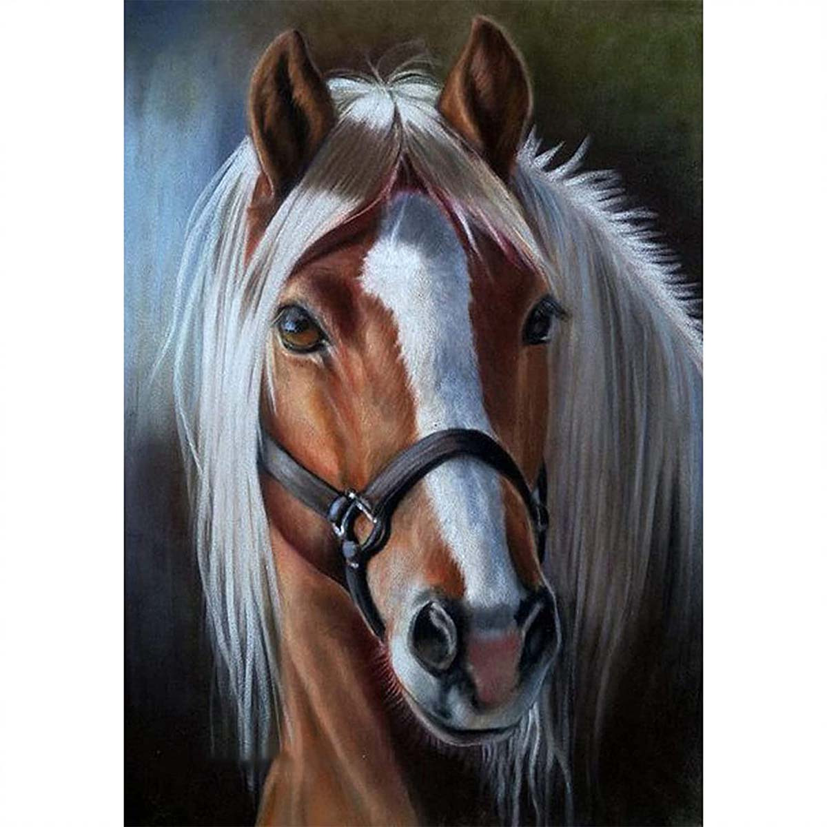 5D DIY Diamond painting A handsome horse Diamond Art Kits for Adults  Beginners DIY Full drilling Diamond Dots Painting Arts Craft for Home  poster Wall Art Decor 30*30cm rimless