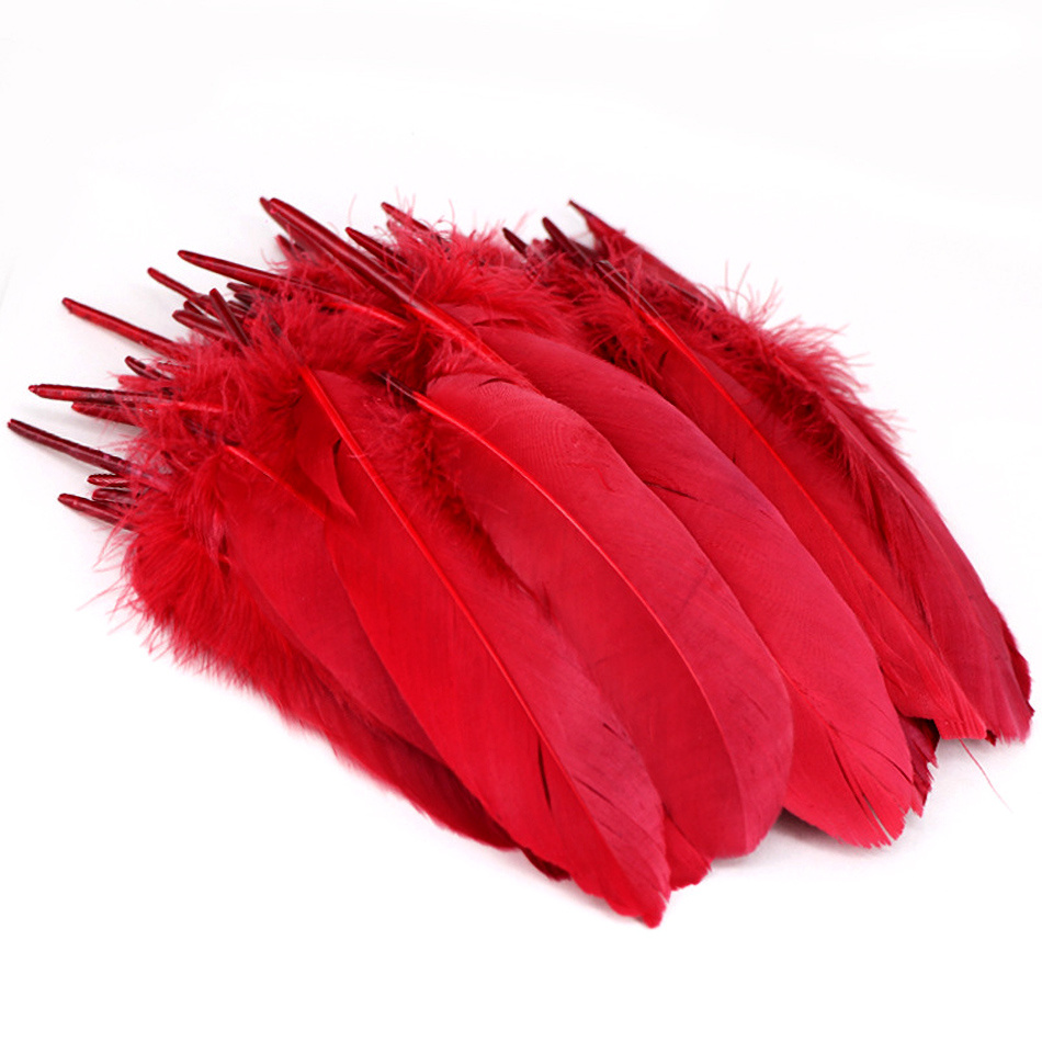  Plumas naturales – 20 piezas de plumas rojas variadas de ganso  de ganso plumas de faisán para hacer joyas de pavo real avestruz Plumas  Plumas – 5.9 – 7.9 in 6 – 8 pulgadas : Arte y Manualidades