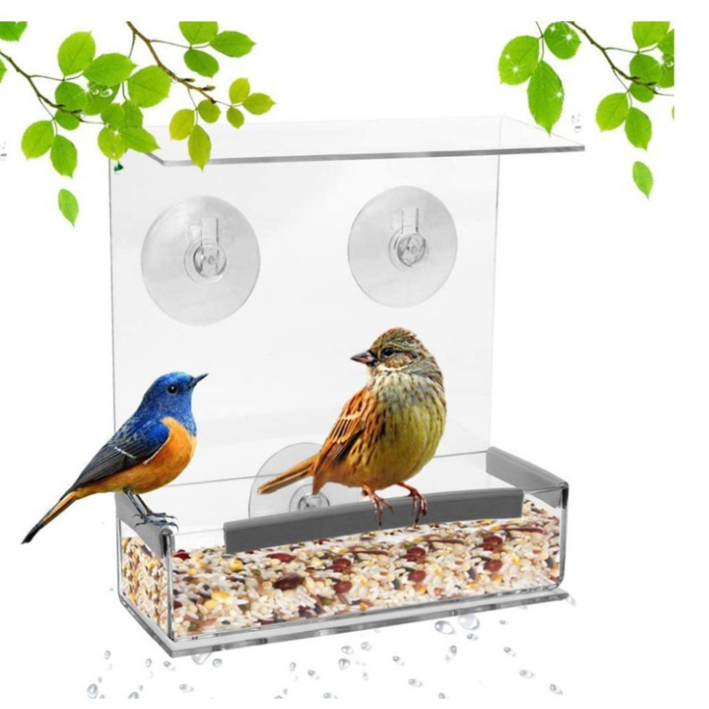 Mangeoire à oiseaux transparente pour l'extérieur avec ventouses puissantes  – Mangeoire à oiseaux transparente pour la maison, les chats, les enfants