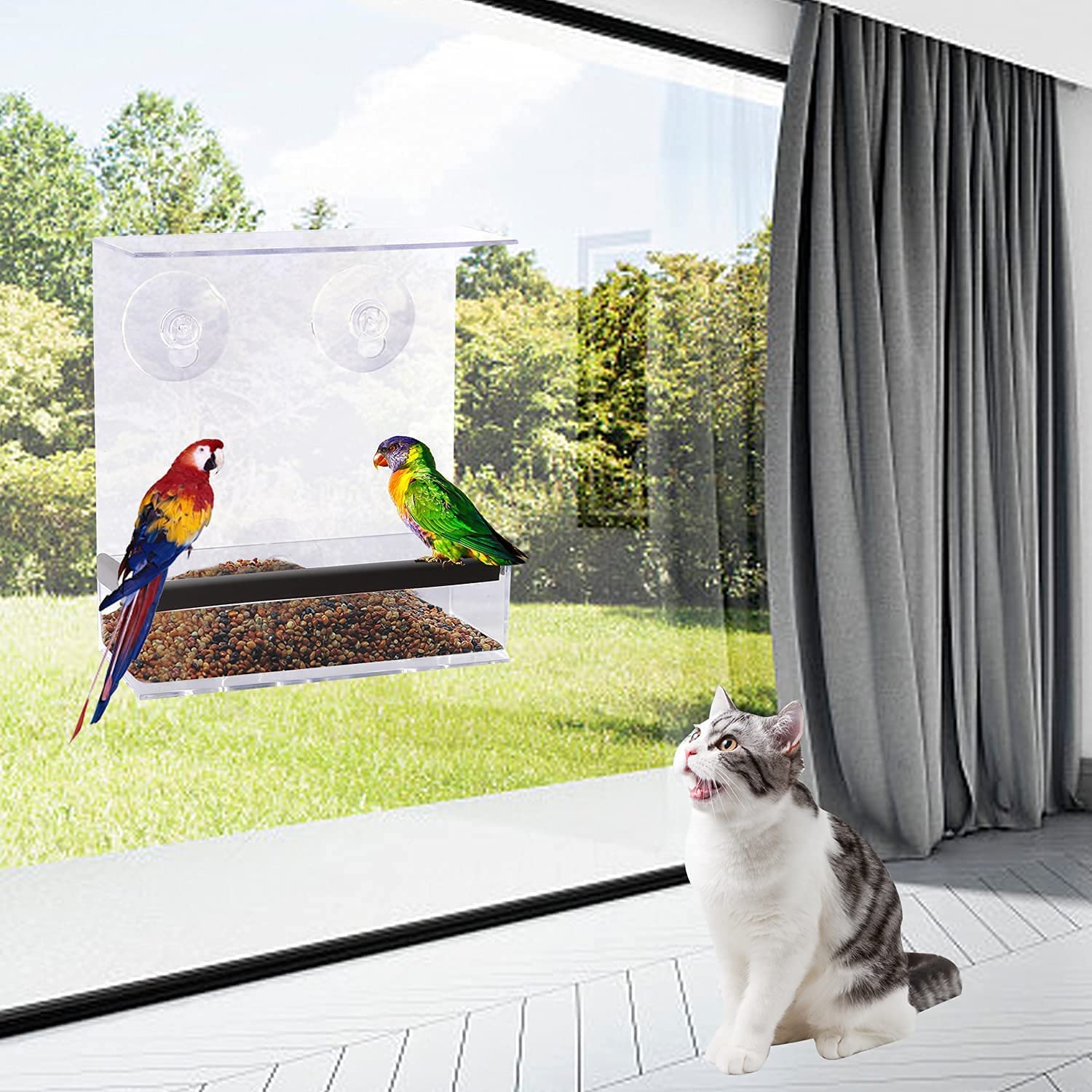 Transparent Acrylique Fenêtre Mangeoire à Oiseaux Mangeoire À