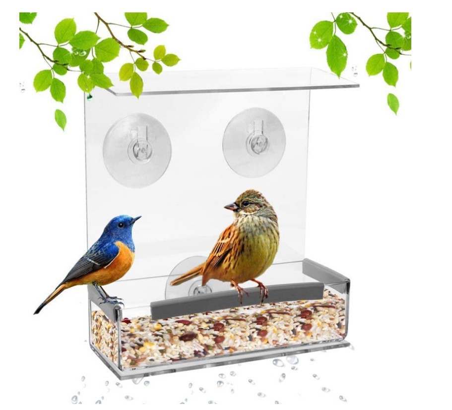 Mangeoire à oiseaux de fenêtre avec ventouses puissantes