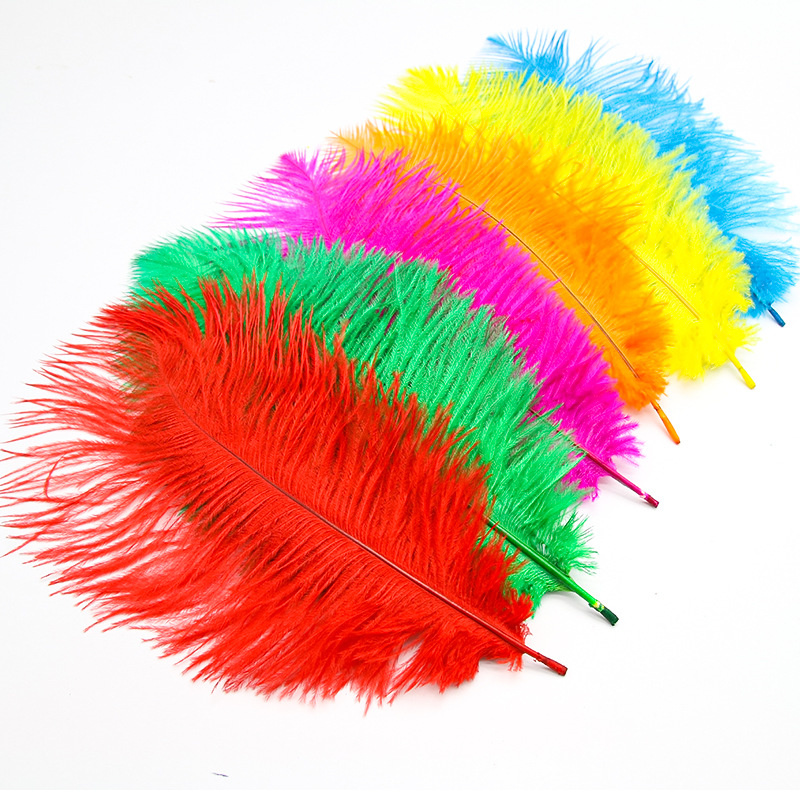 10Pcs Ostrich Feather Multi-Color Ostrich Feather Plume Decorative Pink  Gold Purple Feather Craft Fashion DIY Large Feather Party Centerpieces for  Home Wedding Party Decoration 