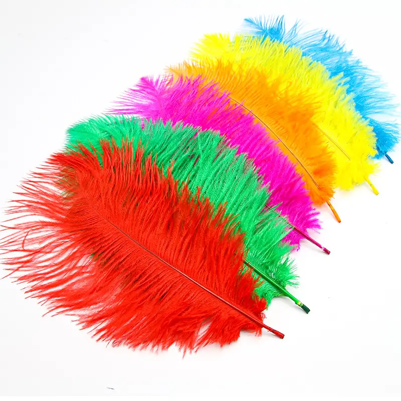 New Colored Ostrich Feathers Crafts White Black Feather - Temu