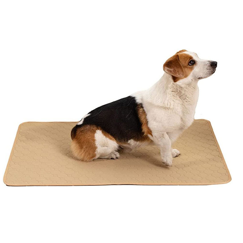 Dog Pee Pad Blanket Reusable Absorbent Diaper Washable Puppy Training Pad  Pet Bed Urine Mat Car Seat Cover For Dog And Cat - Temu