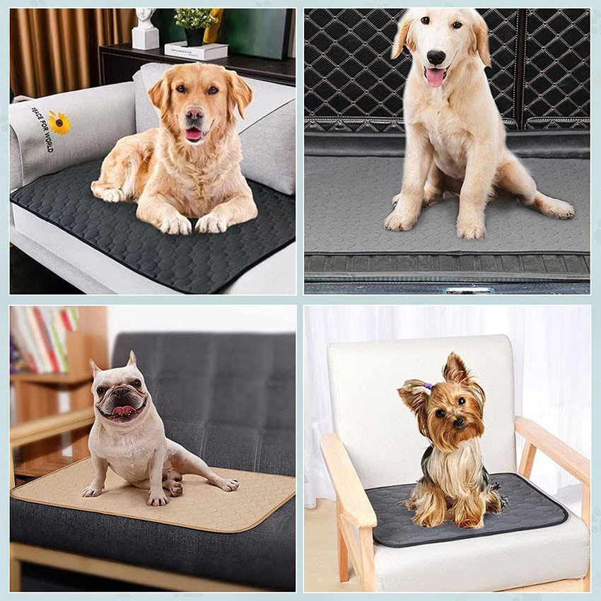 Dog Pee Pad Blanket Reusable Absorbent Diaper Washable Puppy Training Bed  Urine Mat For Pet Car Seat Cover