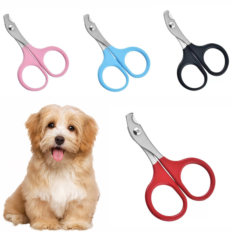  Kit de aspiradora de aseo de mascotas, aspiradora de pelo de  perro y cepillo para pelos de perros, con 5 herramientas de aseo de mascotas  para perros, gatos y otros animales (