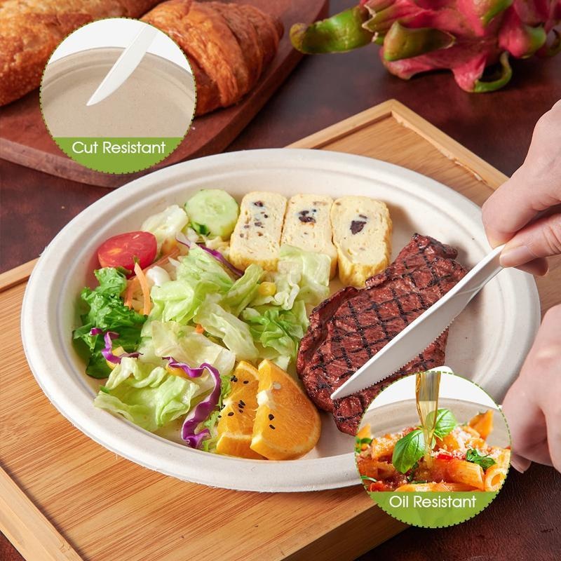 Three Leaf Juego de 5 bandejas de comida con tapa, 25 juegos. Platos de  bagazo desechables resistentes y ecológicos con plomo, platos 100%