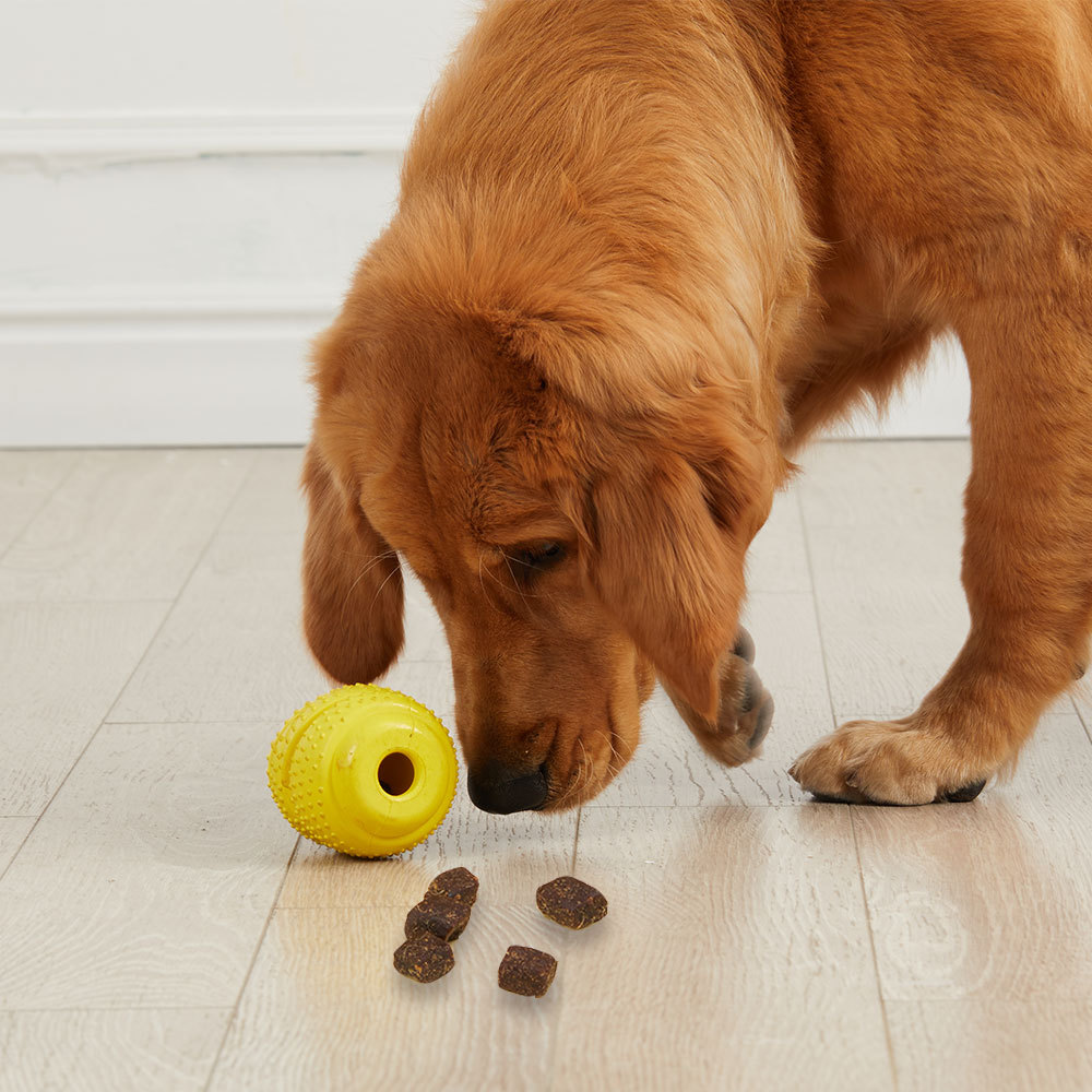 Automatic Treat Dispensing Dog Toys, Dog IQ Training Dog Feeder