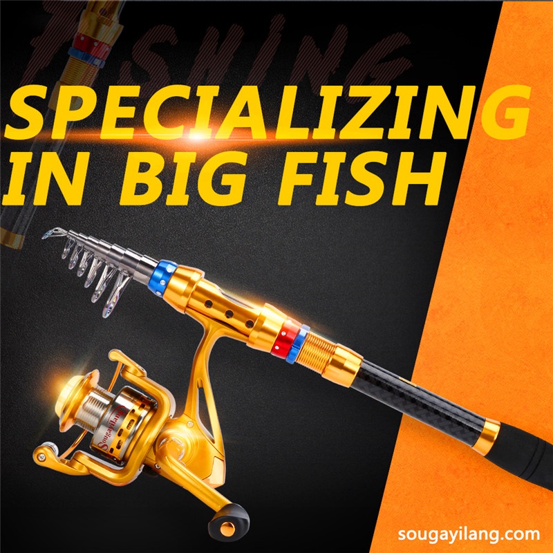 Sougayilang Fishing Rod Combos with Telescopic Pole Spinning Reels &  Carrier Bag for Travel Saltwater Freshwater Fishing