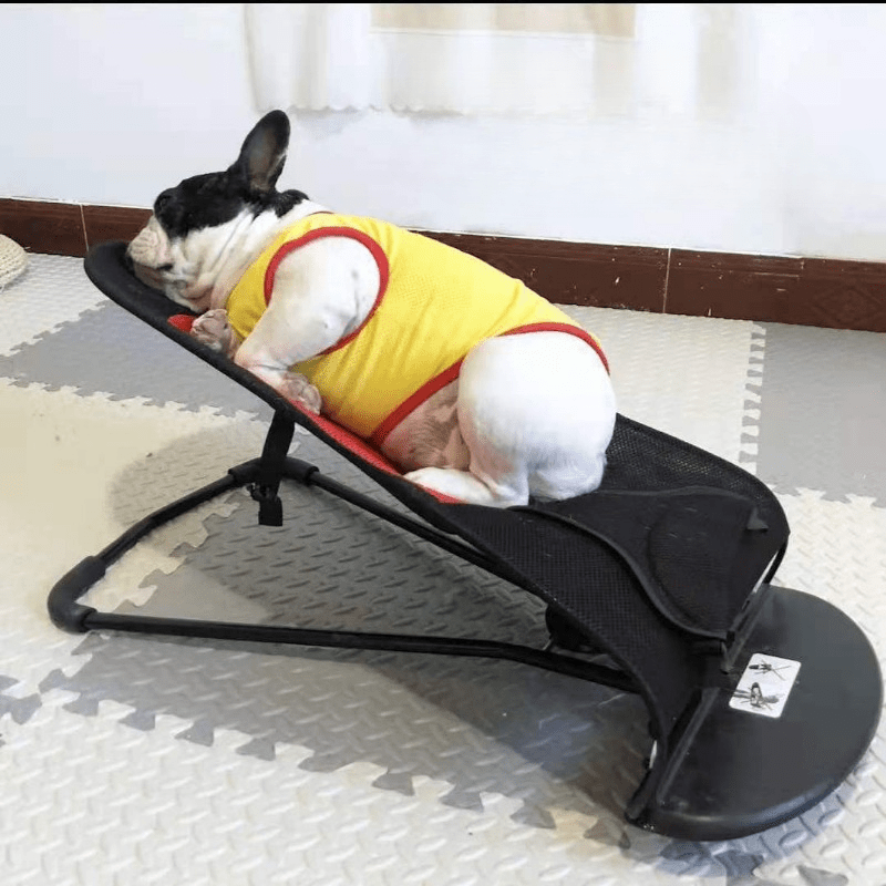 Chaise À Bascule Pour Chien Chenil Pour Chien Tapis - Temu Canada