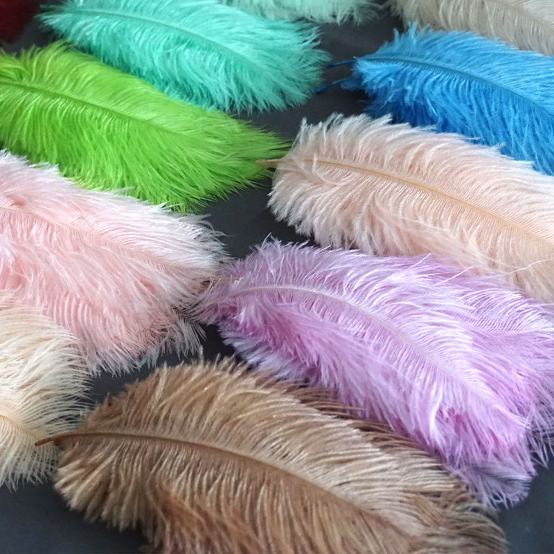 5 Piezas 11.8 ~ 13.8 Pulgadas Plumas Avestruz Coloridas - Temu