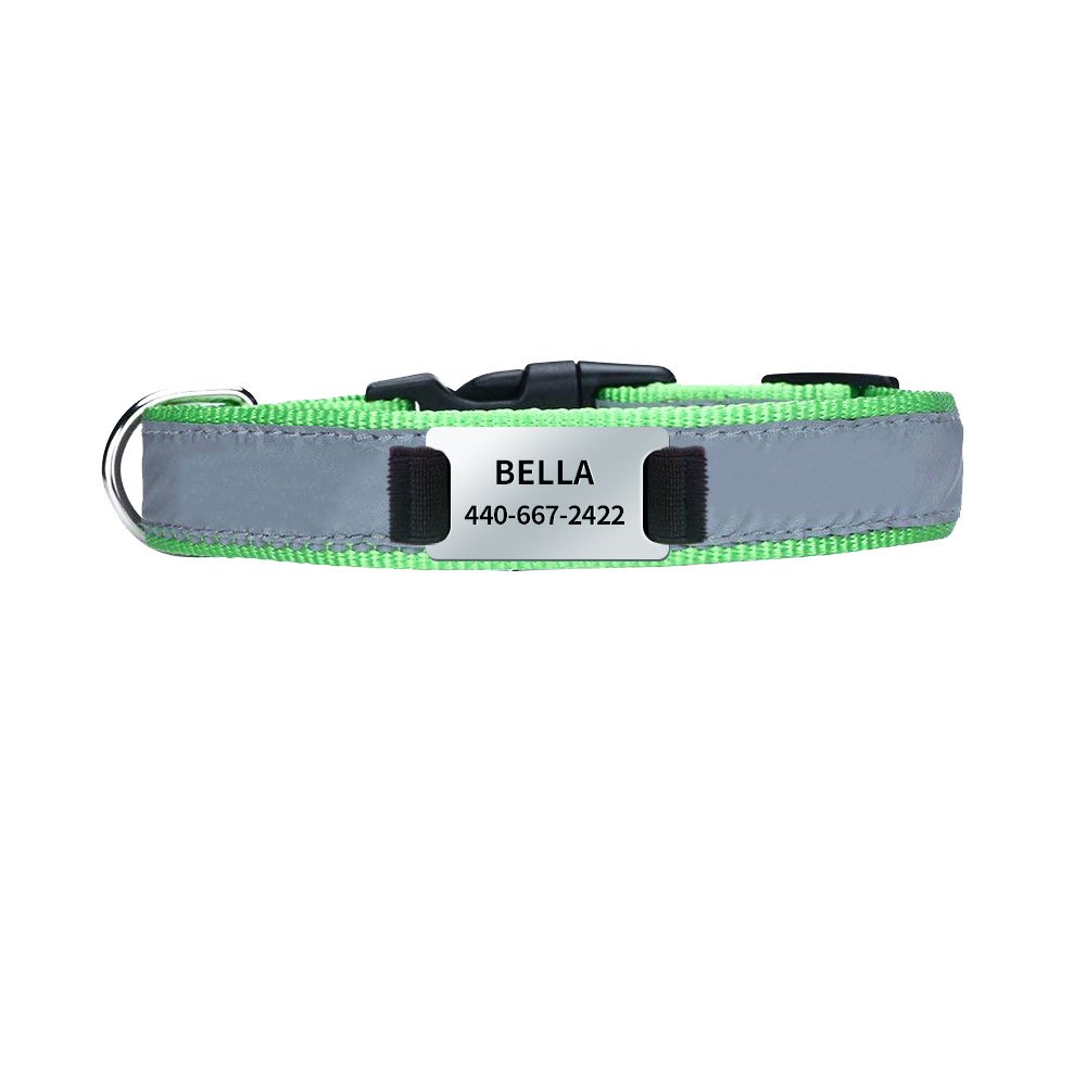 Dog Collar with Personalized Slide-On Nameplate