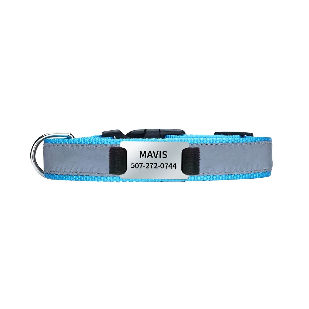 Petsmart best sale personalized collar