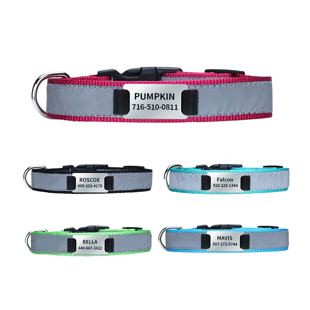 Dog Collar with Personalized Slide-On Nameplate