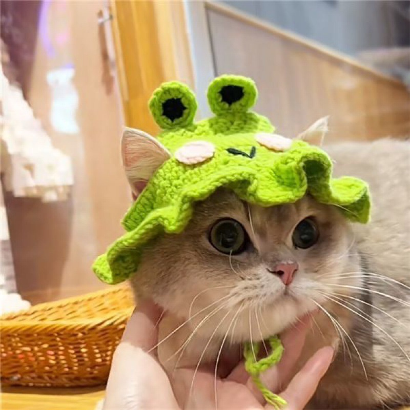 Cute Cartoon Cat Cap - Delicate Wool Pet Headgear For Small Dogs - Perfect  For Christmas And Halloween Festivities