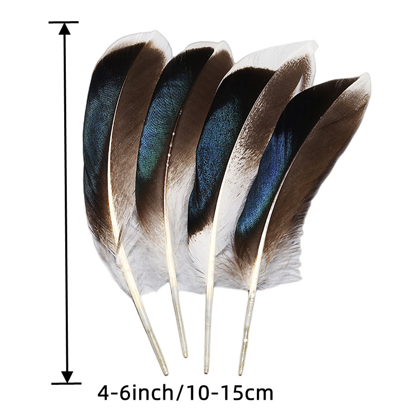 Pheasant Feathers Long Male Tail Feathers Natural Color 