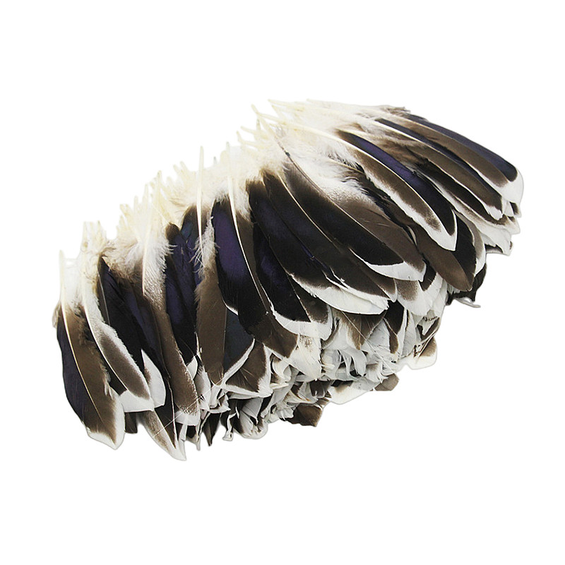 Natural Colored Pheasant Feathers Crafts Diy Handwork Plume - Temu