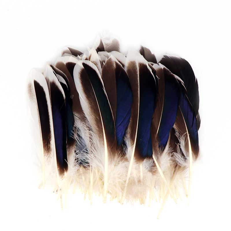 Natural Colored Pheasant Feathers Crafts Diy Handwork Plume - Temu