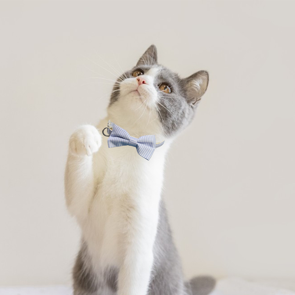 Stylish & Unique Cat Collars + Cat Bow Ties and Personalized ID Tags