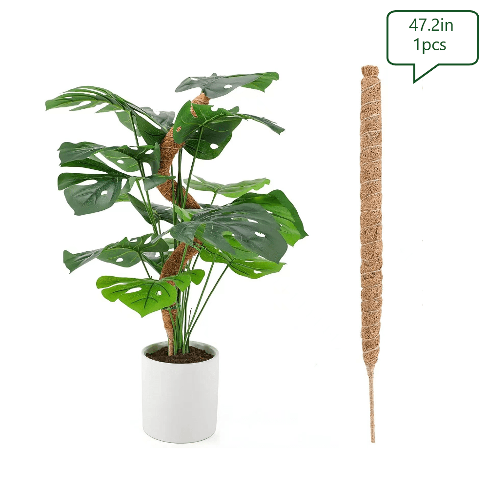 4 Pièces Tuteur Monstera Extendable Poteau Mousse Tuteur Plante