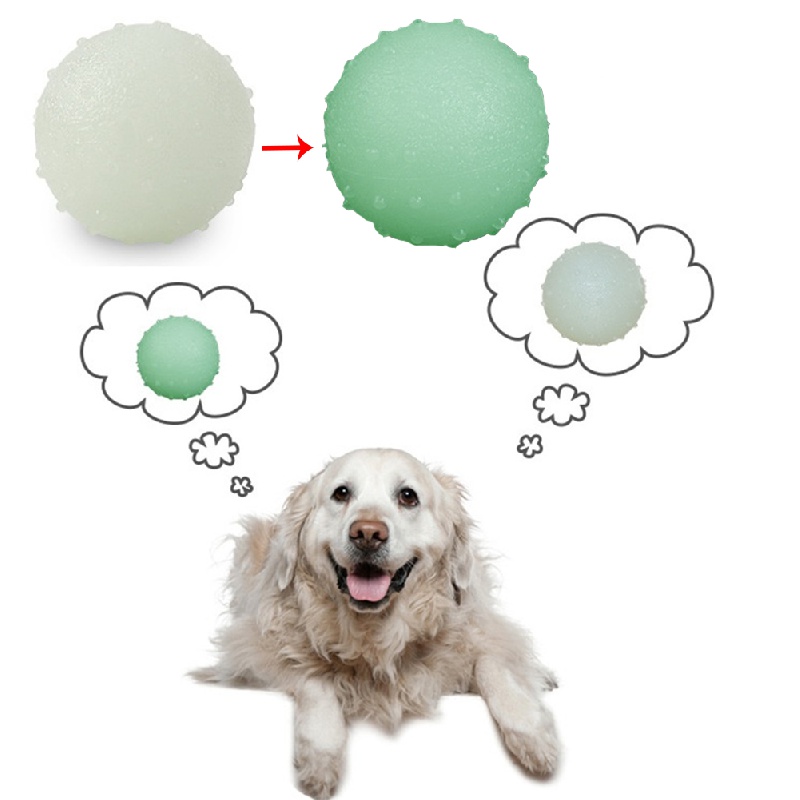 

Glow-in-the-dark Dog Toy For Interactive Play And Dental Health