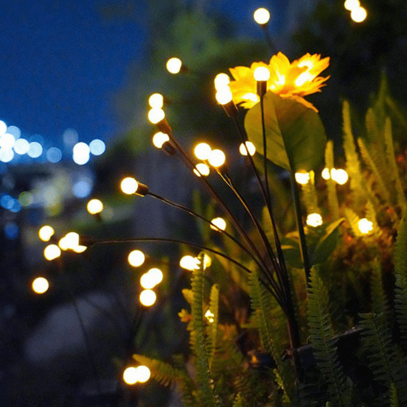 8e Nuit des Jardins de Lumière