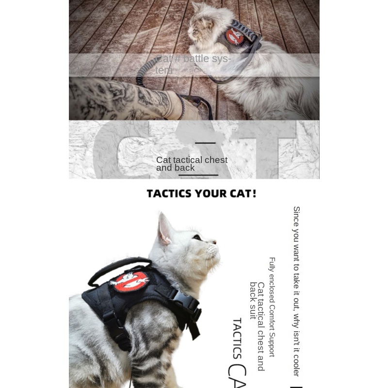PetBonus Arnés ajustable y correa para gato, a prueba de escapes,  transpirable, chaleco para mascotas, arnés para caminar, juego de correa  reflectante