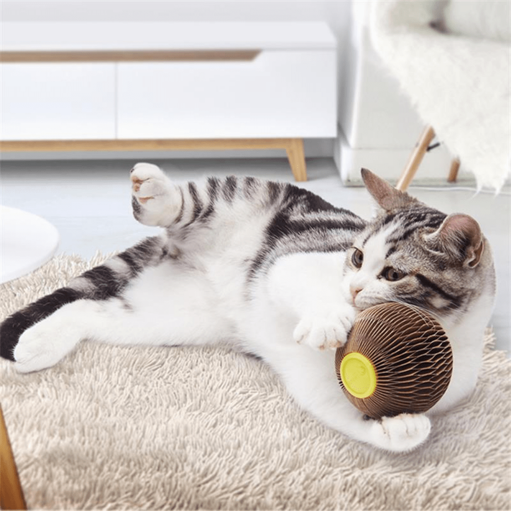 Cat Toys, Cat Toys for Indoor Cats,Cat Spring Mouse Toy Scratch Resistant  Boredom Relief Interactive Kitten Toy with Plush Base for Indoor