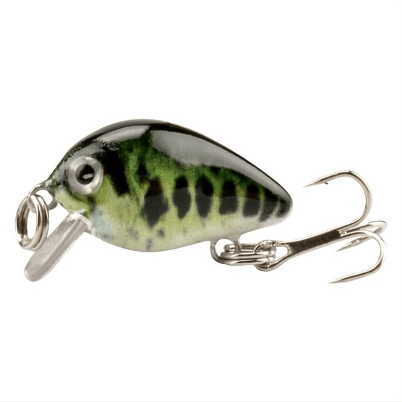 Fat and Weird Fishing Lure for Bass