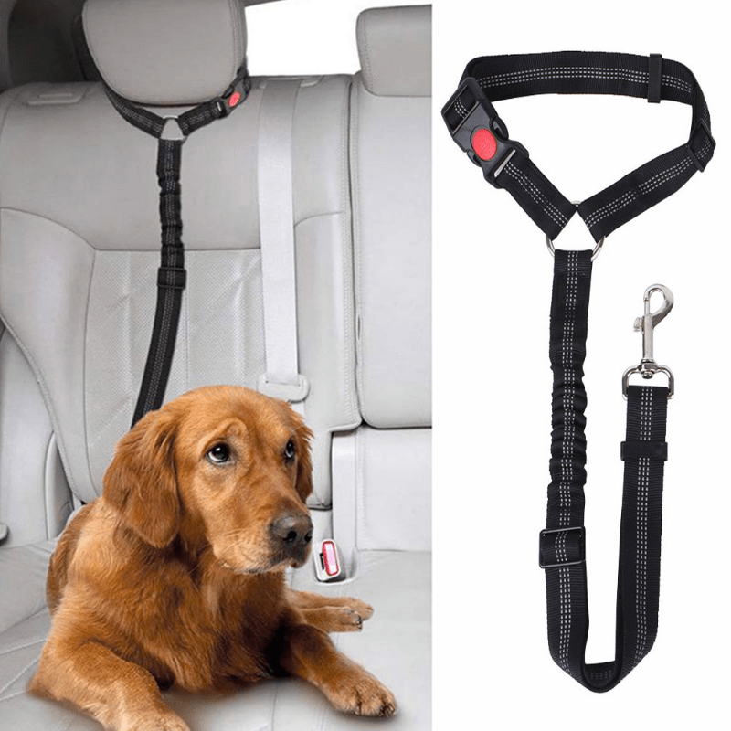 Ceinture de sécurité en Nylon pour voiture, réglable, pour chien