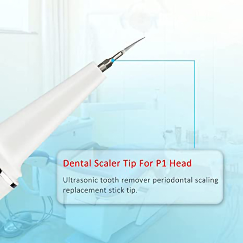 5pcs Dental Scaler Tips Cleaning Tips for Dental Equipment