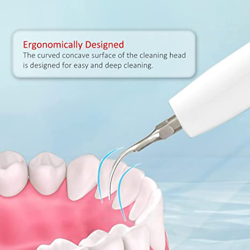5pcs Dental Scaler Tips Cleaning Tips for Dental Equipment