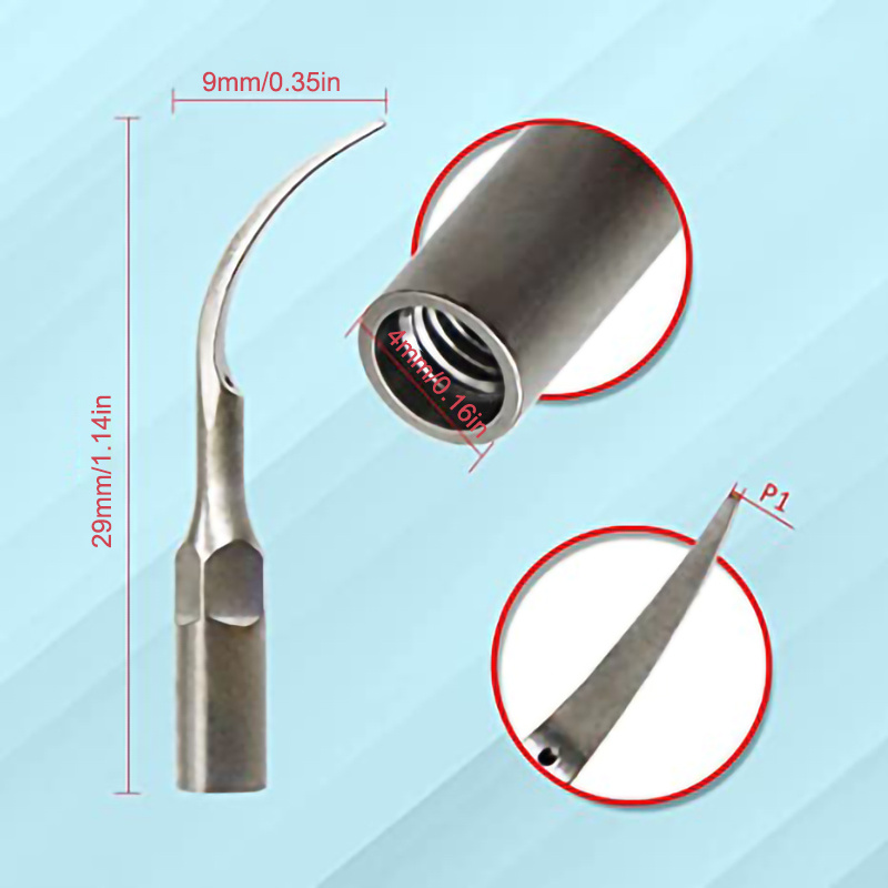 5pcs Dental Scaler Tips Cleaning Tips for Dental Equipment