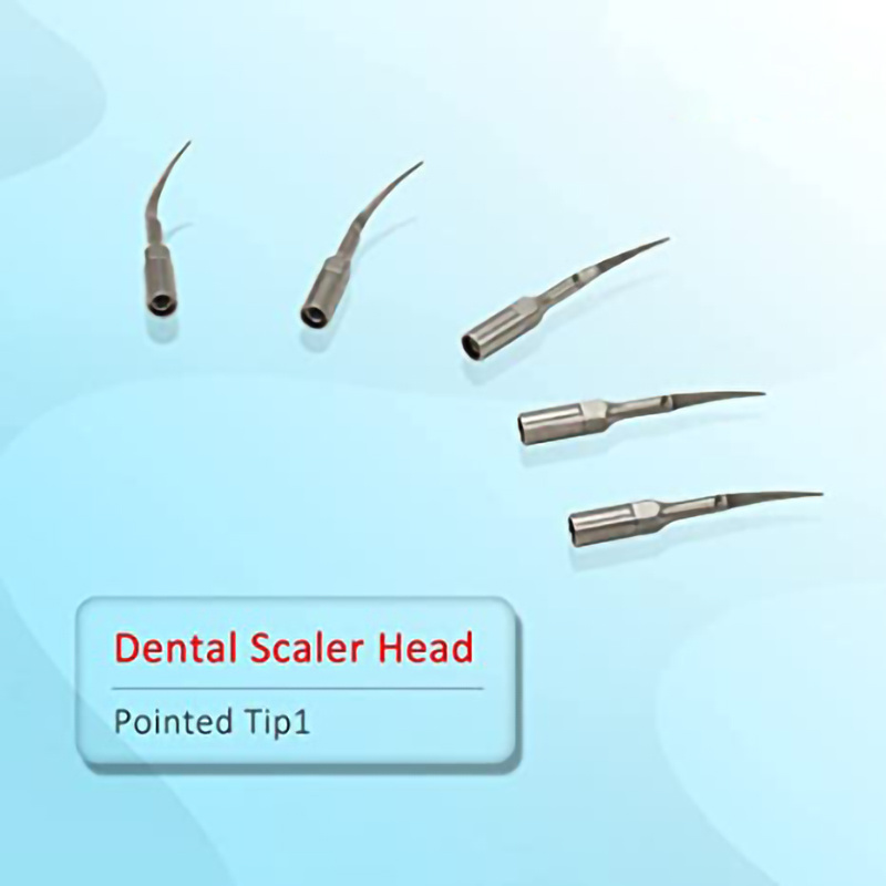 5pcs Dental Scaler Tips Cleaning Tips for Dental Equipment